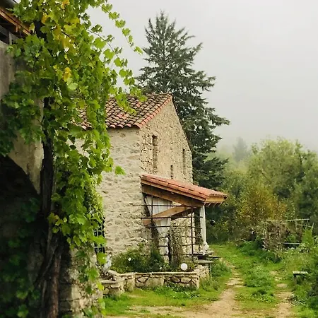 Les Vignals Et Evenements Cevennes * Arphy