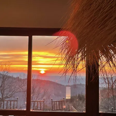 Les Vignals Et événements Cévennes Arphy